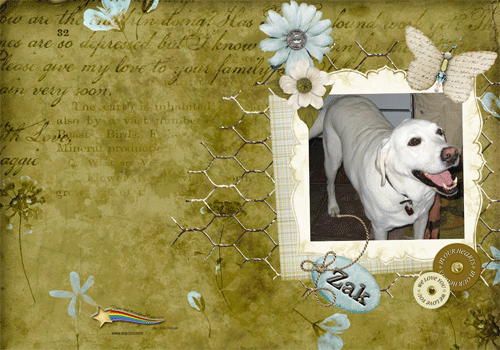 DOG CARD